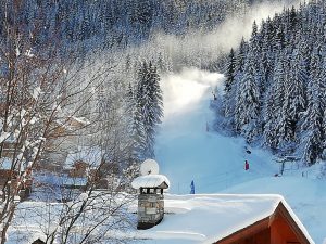 Catered skiing trips in La Tania and the Three Valleys