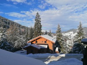 Read more about the article Ski Chalet Holidays in the Three Valleys: Laughs, Slopes, and Fondue Fiascos!